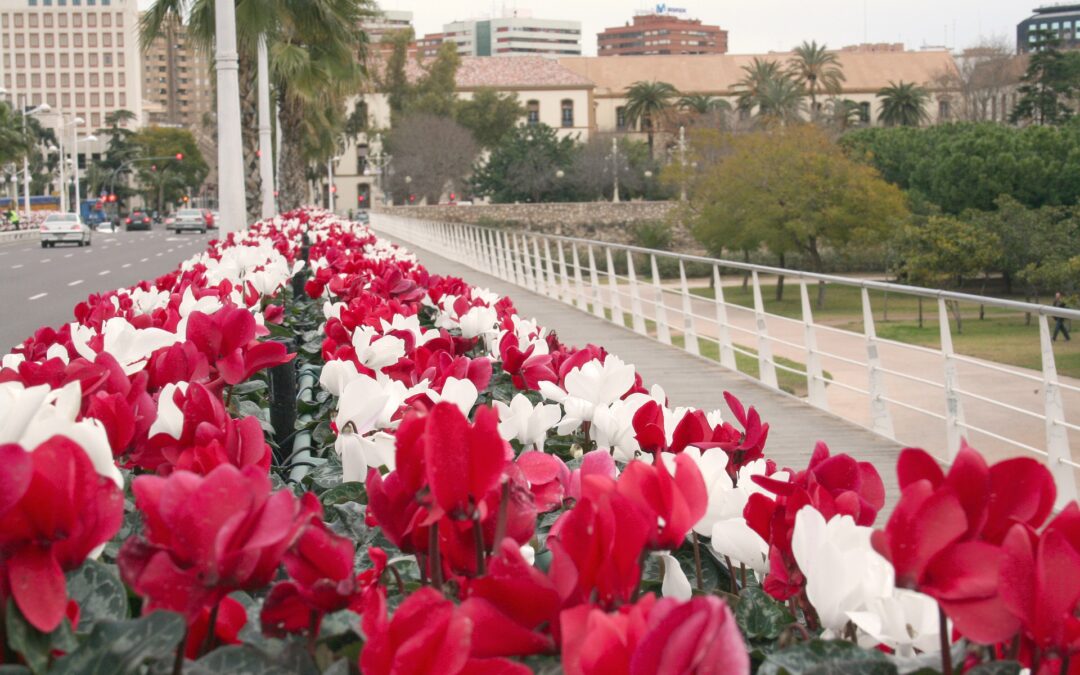El Turismo de la Comunitat pierde casi 3.000 millones de euros por covid-19