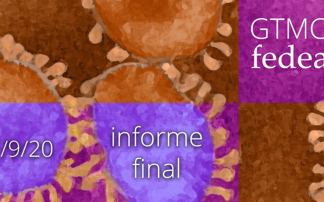 Informe Final del Grupo de Trabajo Mixto Covid-19