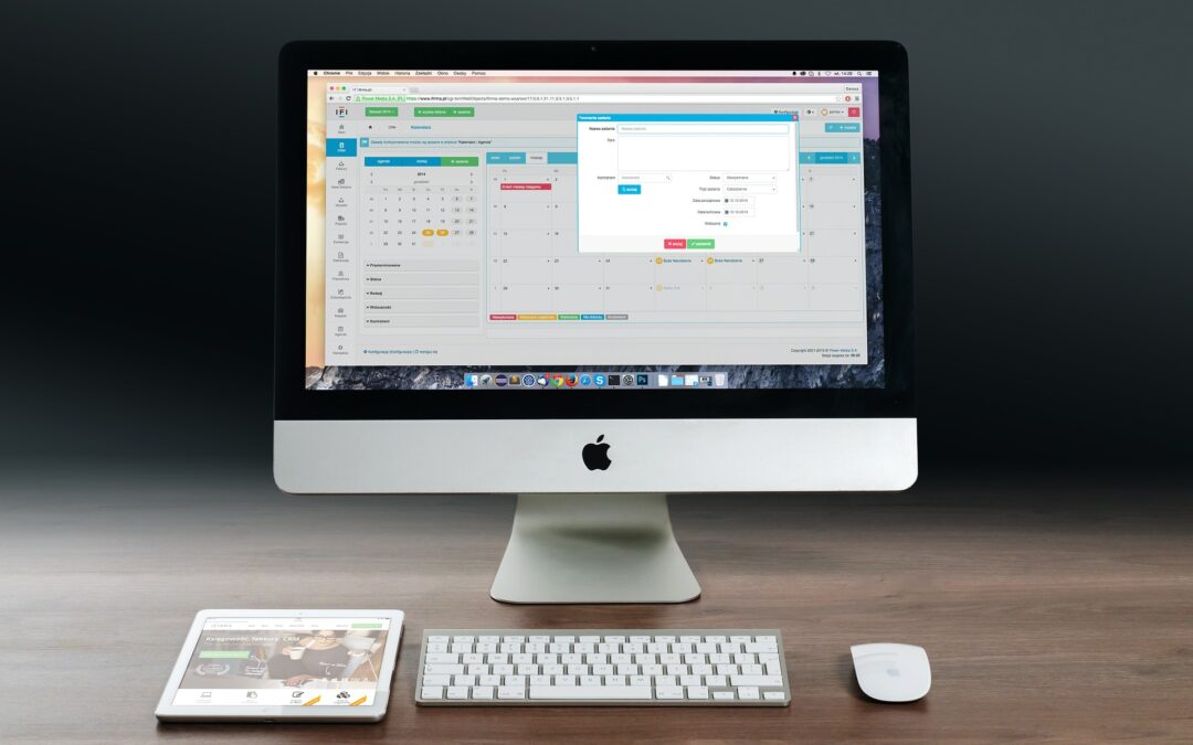 PROGRAMA I SUBVENCIÓN EMPRÉN