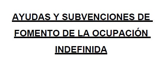 AYUDAS Y SUBVENCIONES DE FOMENTO DE LA OCUPACIÓN INDEFINIDA