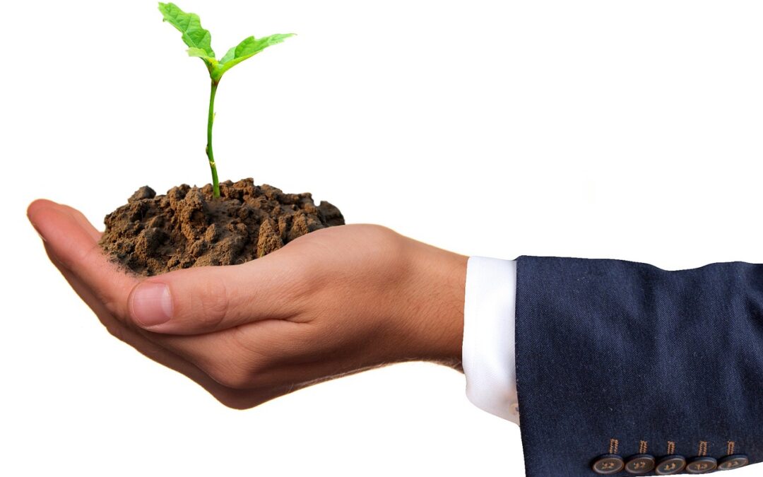 AYUDAS A LA ECONOMÍA SOCIAL, EL TRABAJO AUTÓNOMO Y LA RESPONSABILIDAD SOCIAL DE LAS EMPRESAS