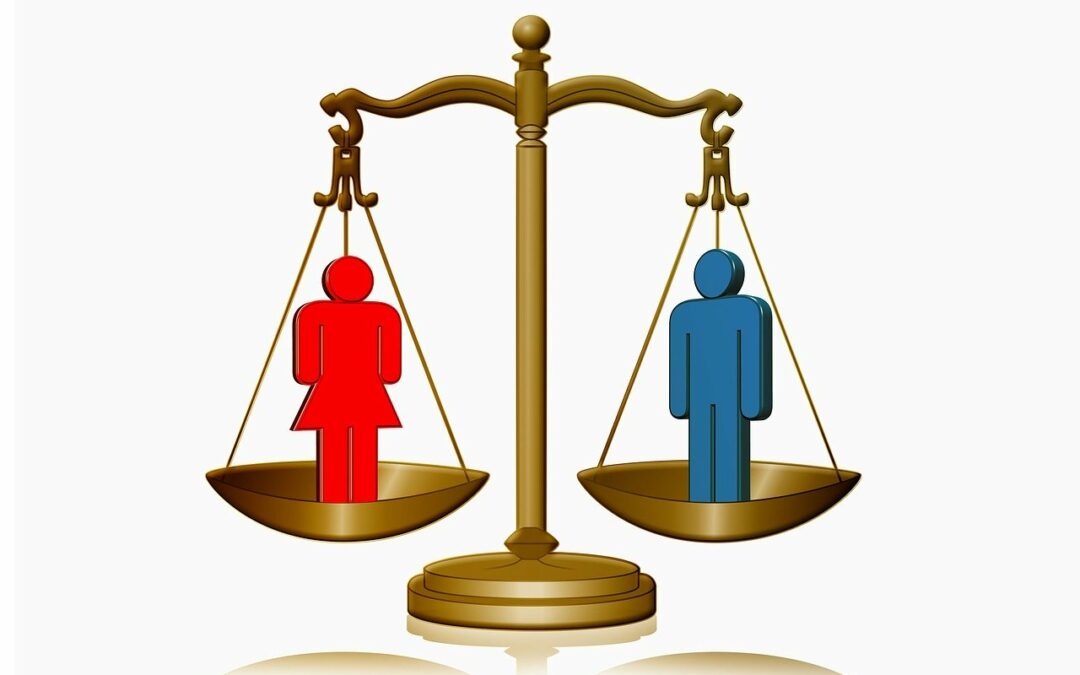 SUBVENCIÓN EN MATERIA DE IGUALDAD PARA ENTIDADES SIN ÁNIMO DE LUCRO 2024